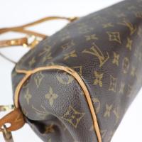 LOUIS VUITTON ルイ ヴィトン ハンドバッグ M95565 PVC 【本物保証】